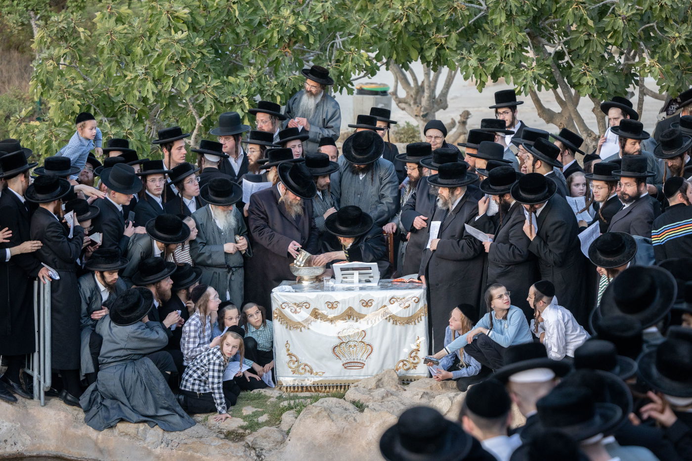 חסידי תולדות אברהם יצחק בתשליך