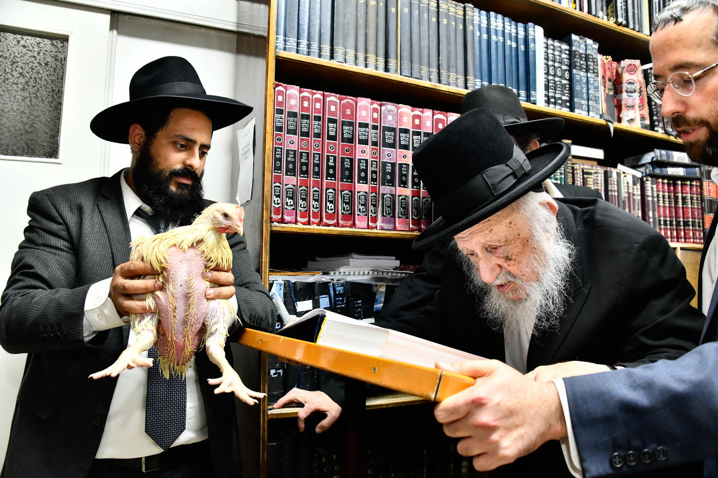 הגרב"ד פוברסקי במנהג כפרות 