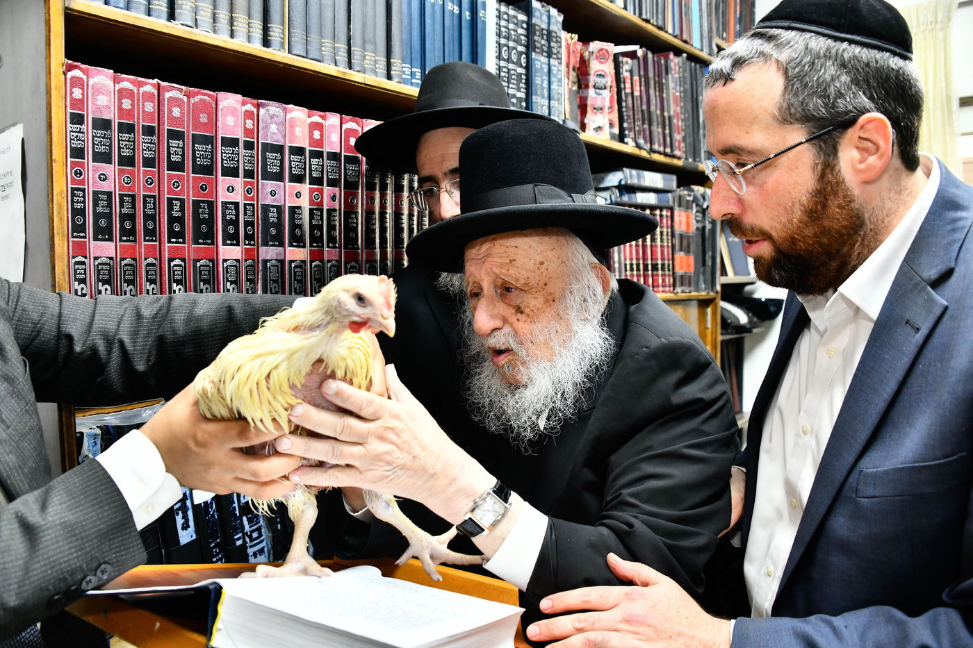 הגרב"ד פוברסקי במנהג כפרות 