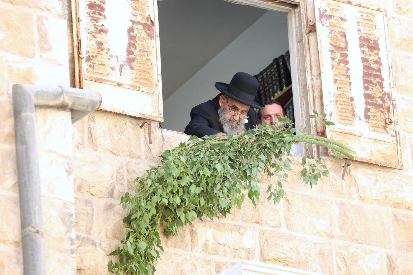 הגאון הרב משה צדקה מסכך את סוכתו