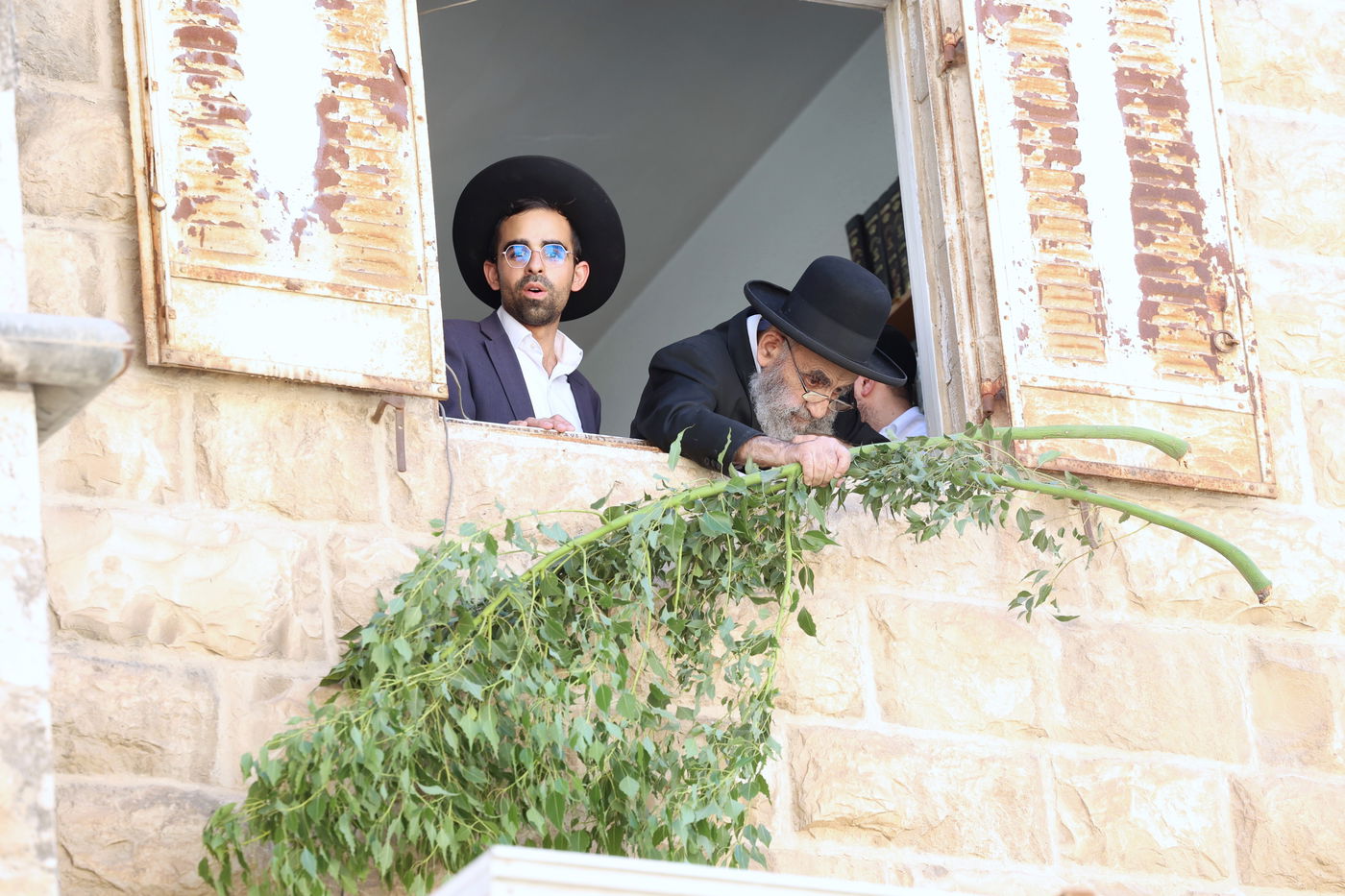 הגאון הרב משה צדקה מסכך את סוכתו