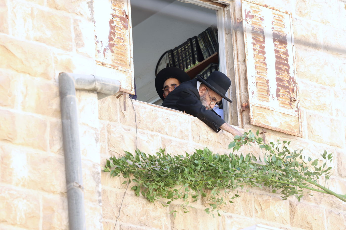 הגאון הרב משה צדקה מסכך את סוכתו