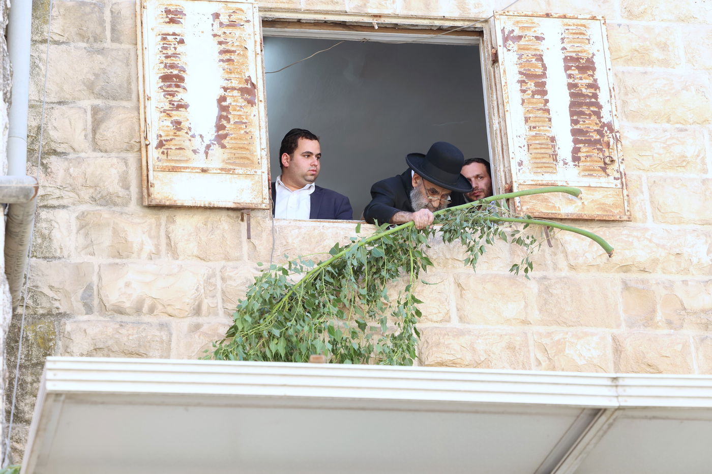 הגאון הרב משה צדקה מסכך את סוכתו