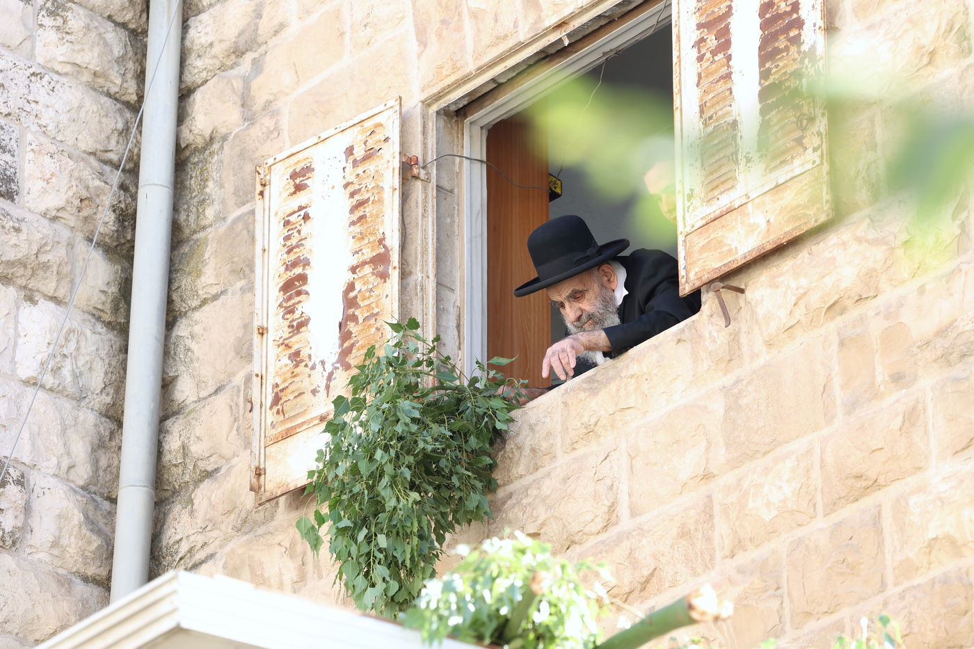 הגאון הרב משה צדקה מסכך את סוכתו