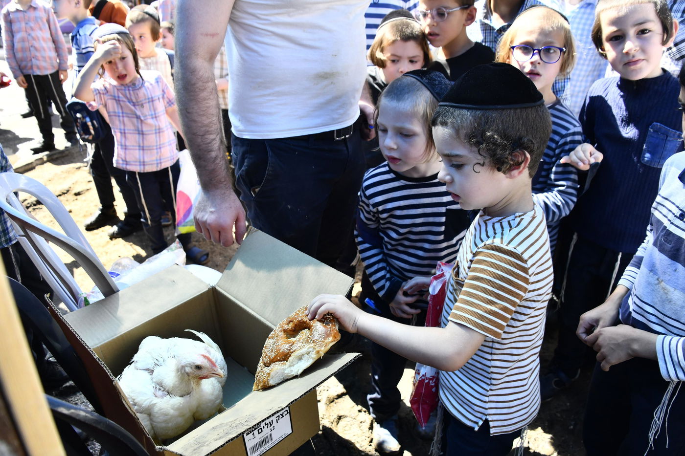 מנהג כפרות בבני ברק