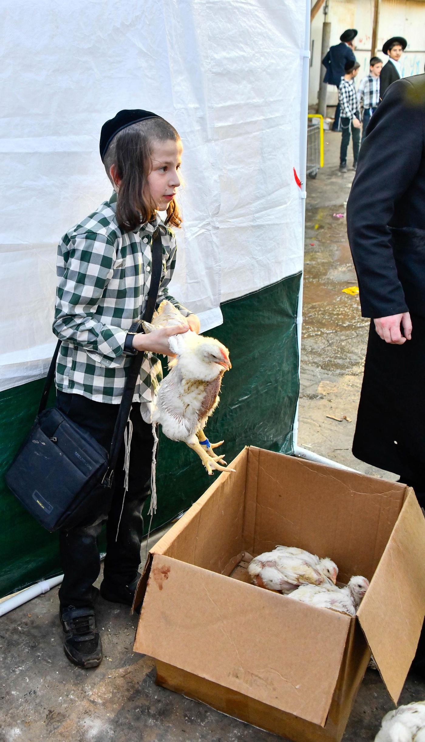 מנהג כפרות בבני ברק