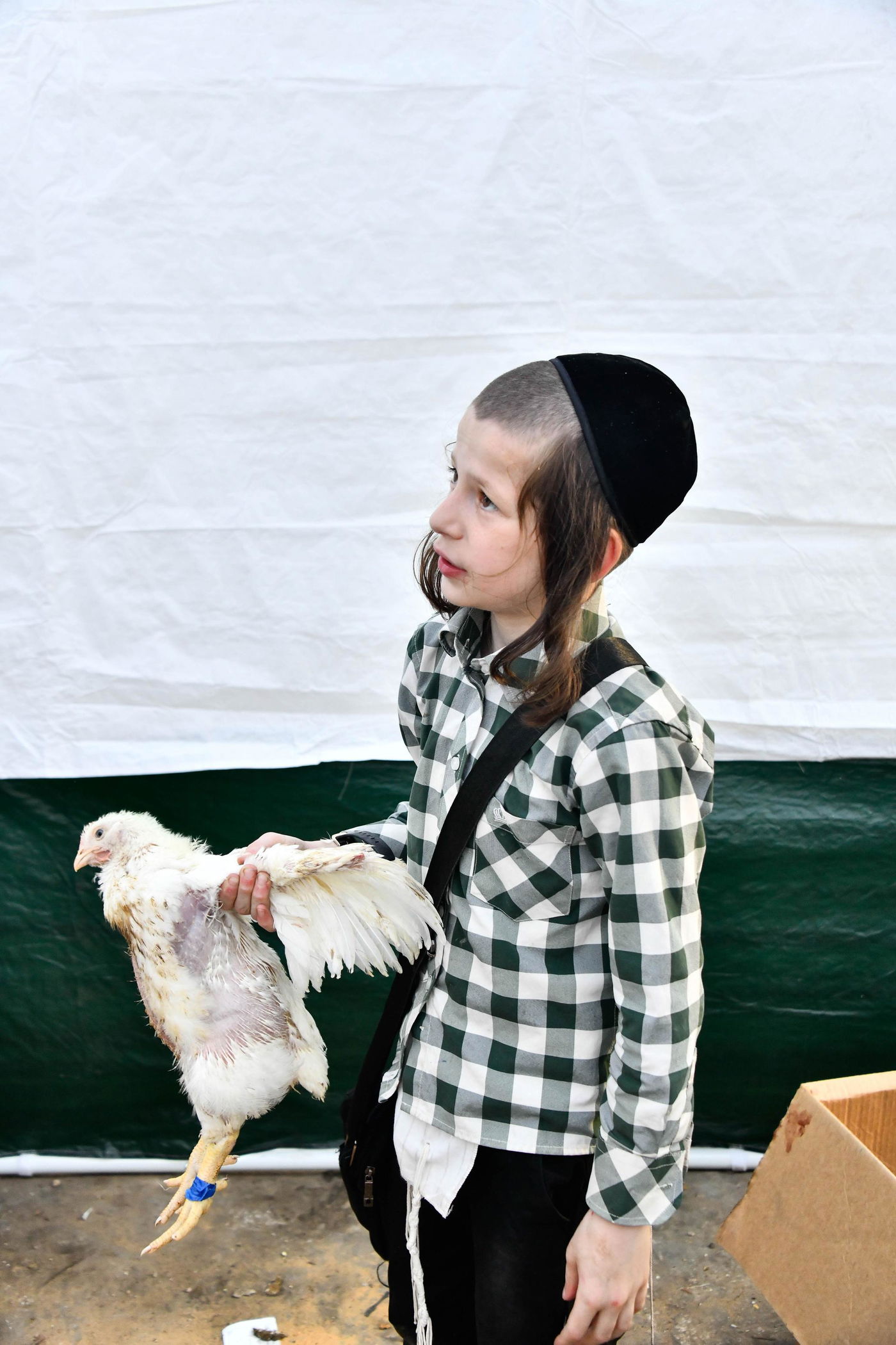 מנהג כפרות בבני ברק