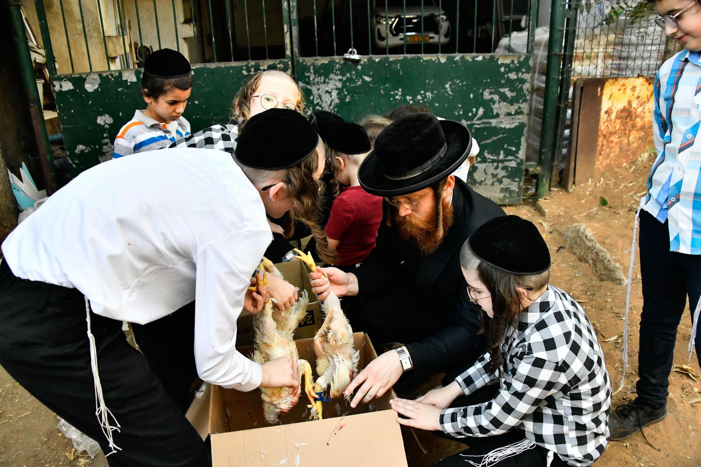 מנהג כפרות בבני ברק
