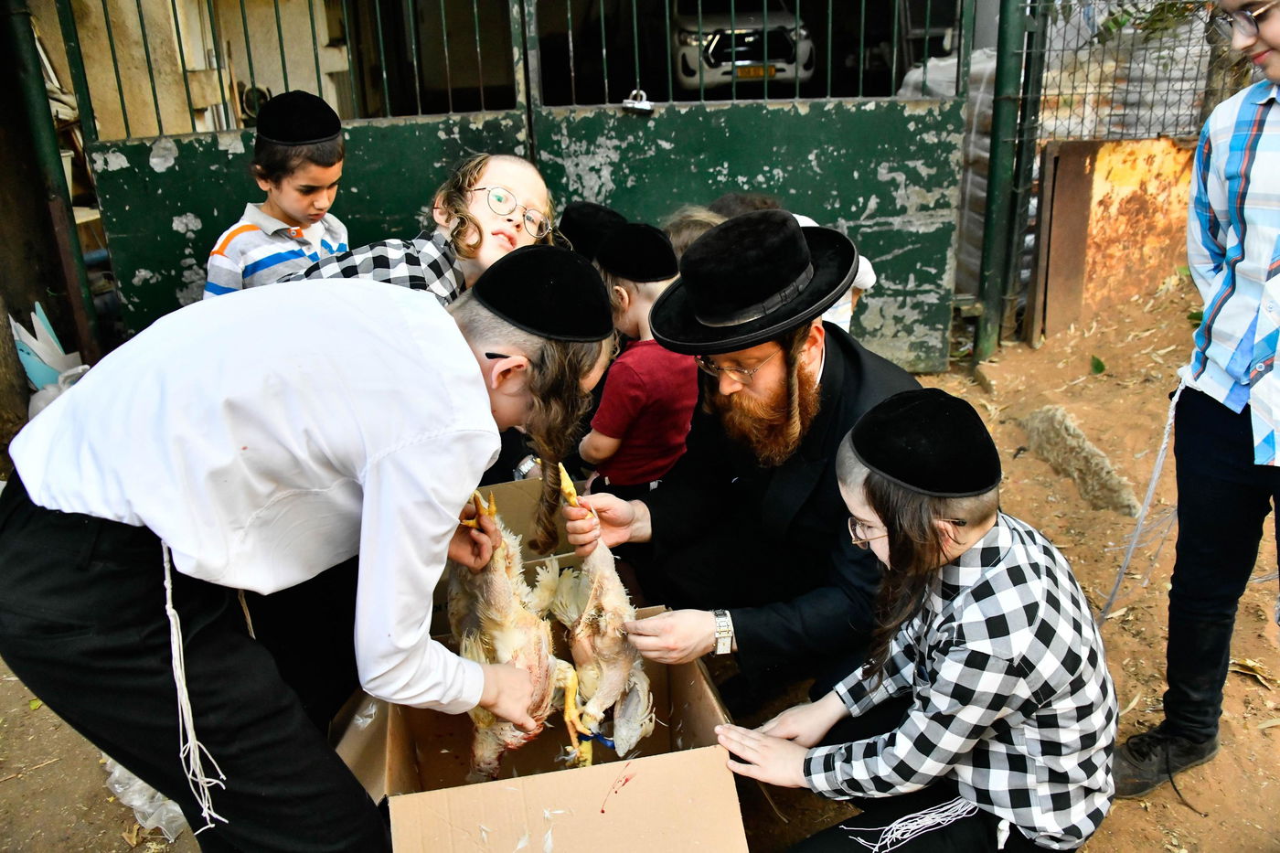מנהג כפרות בבני ברק