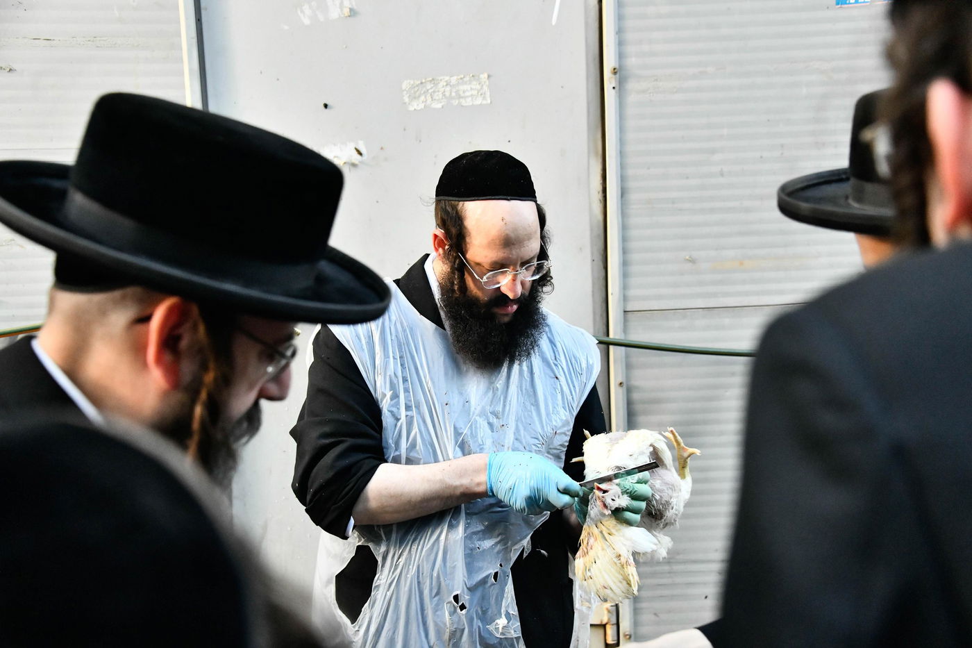 מנהג כפרות בבני ברק