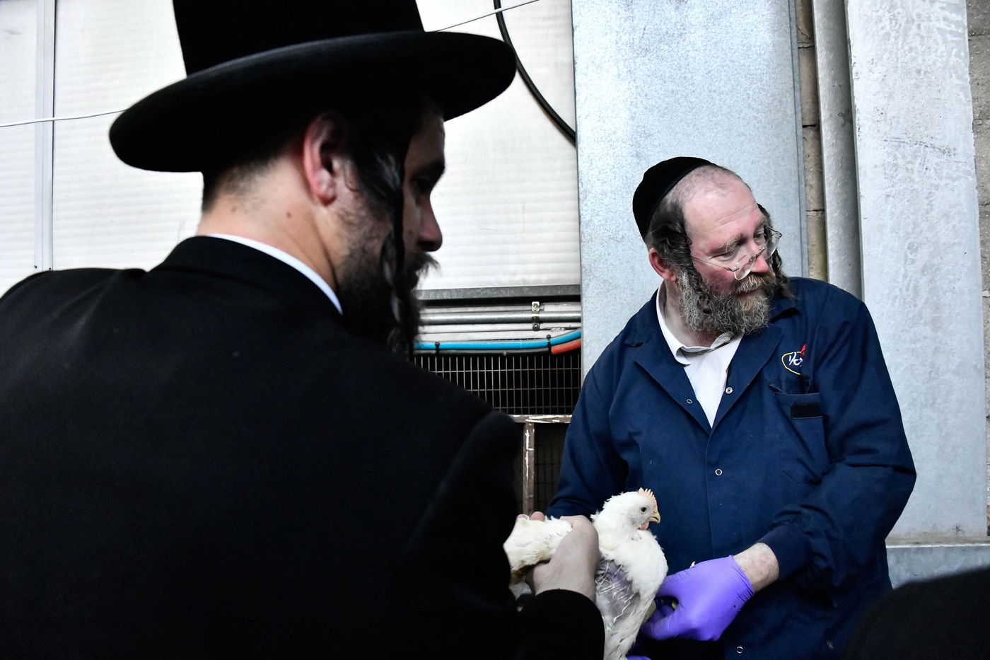 מנהג כפרות בבני ברק