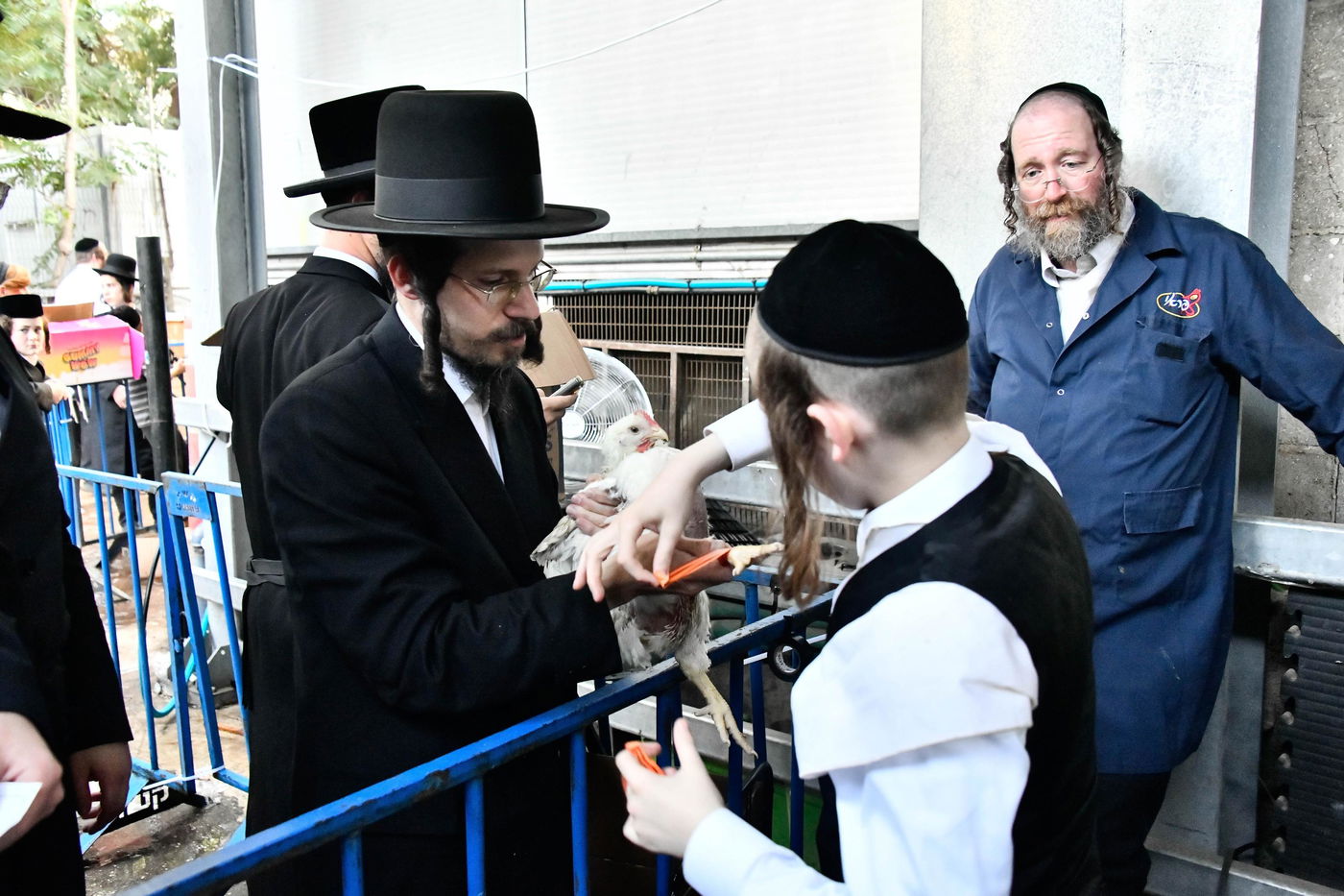 מנהג כפרות בבני ברק