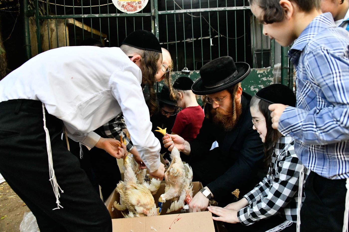 מנהג כפרות בבני ברק