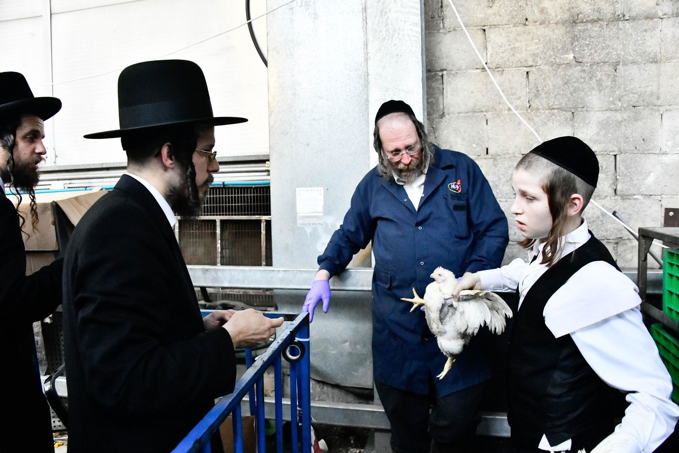 מנהג כפרות בבני ברק