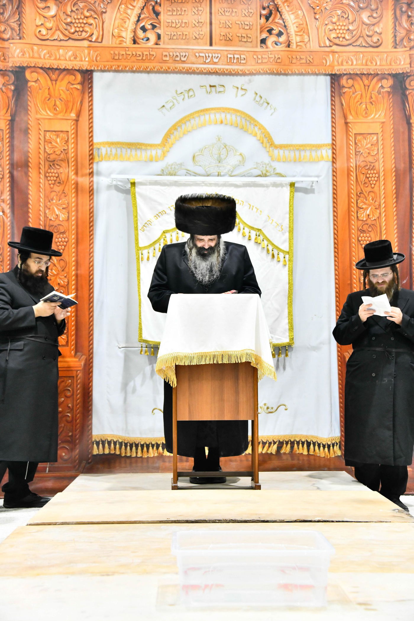 תשליך בחצה"ק דארג