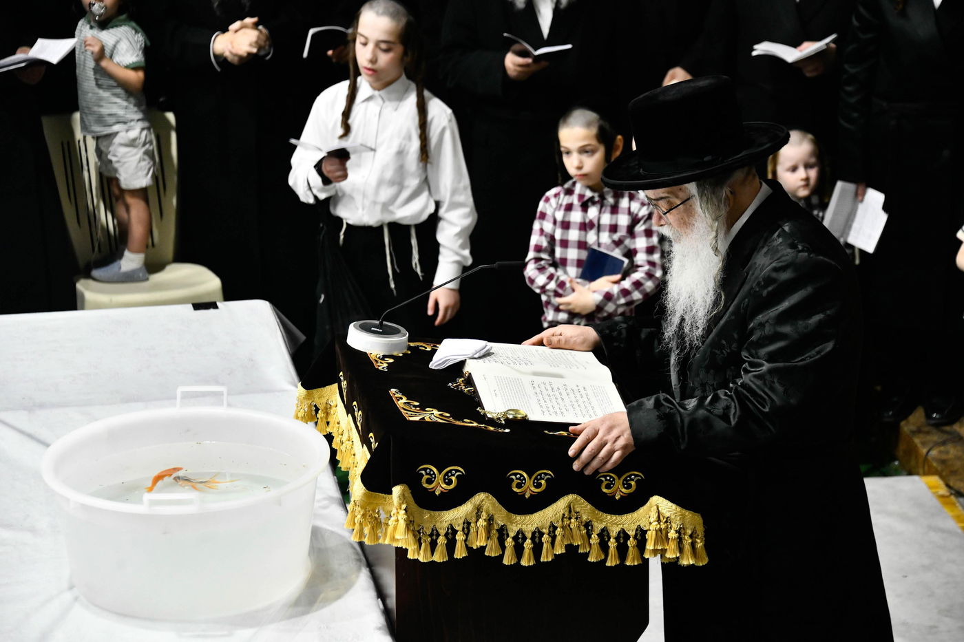 תשליך בחצה"ק דארג