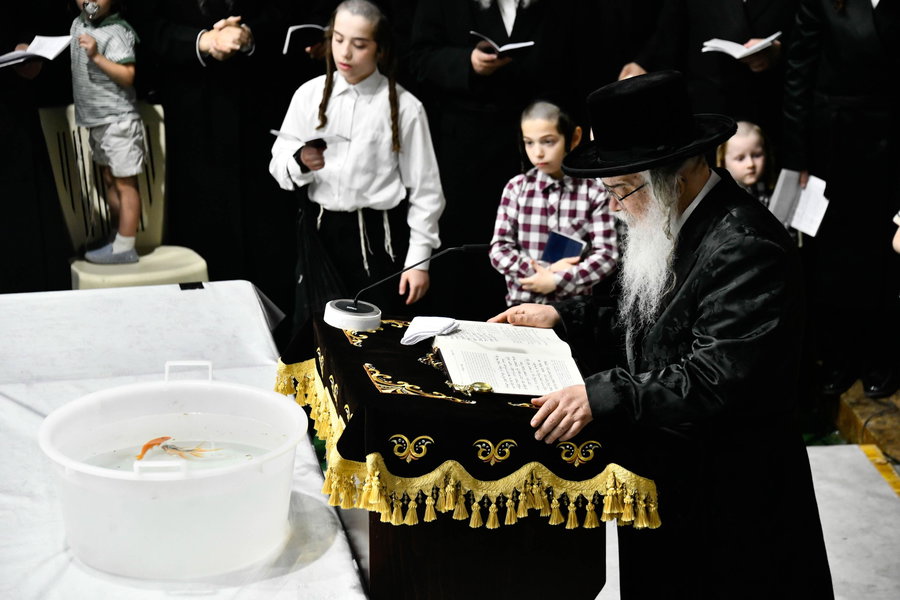 תשליך בחצה"ק דארג