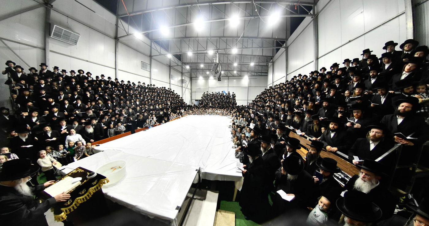 תשליך בחצה"ק דארג