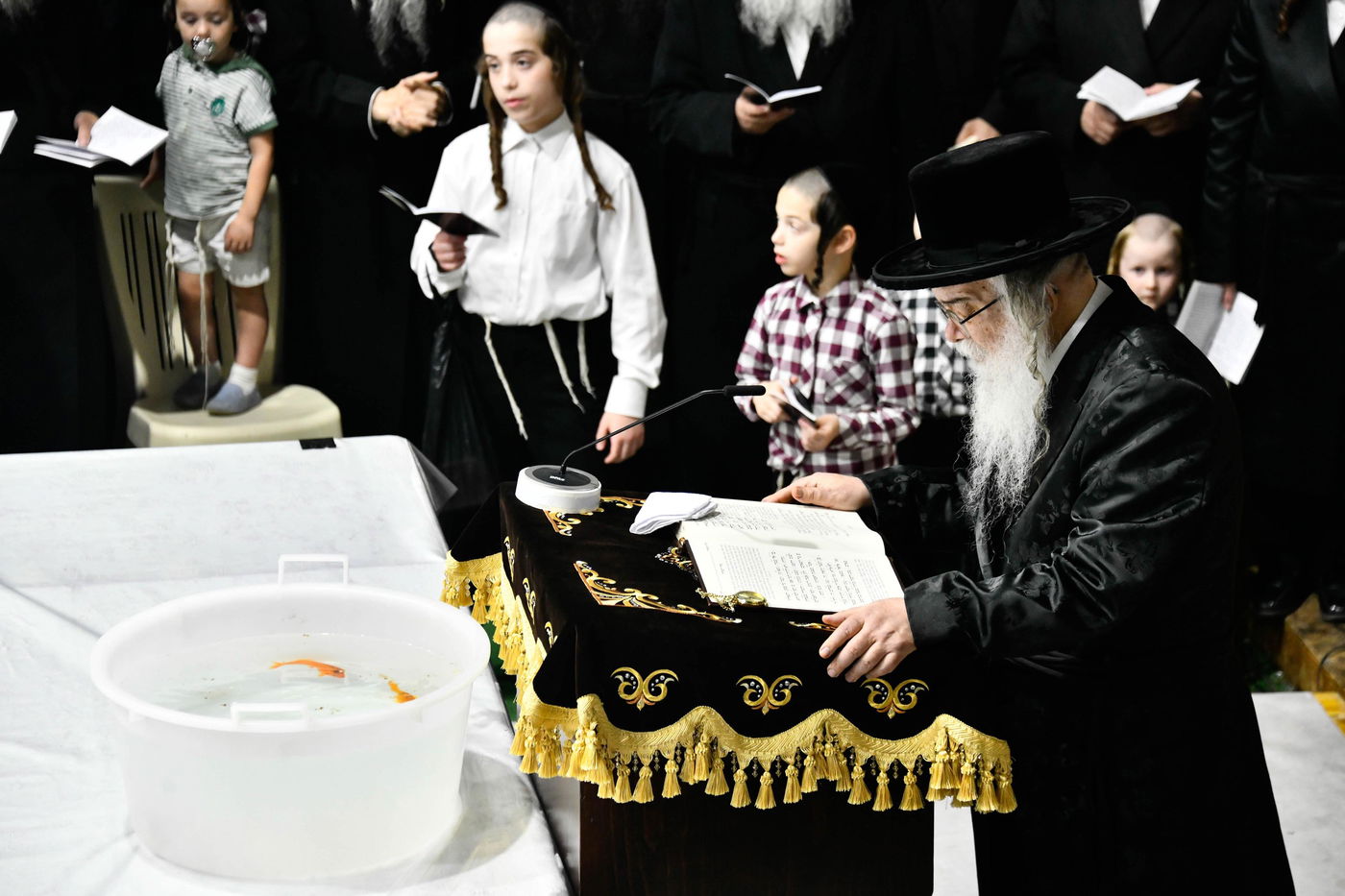 תשליך בחצה"ק דארג