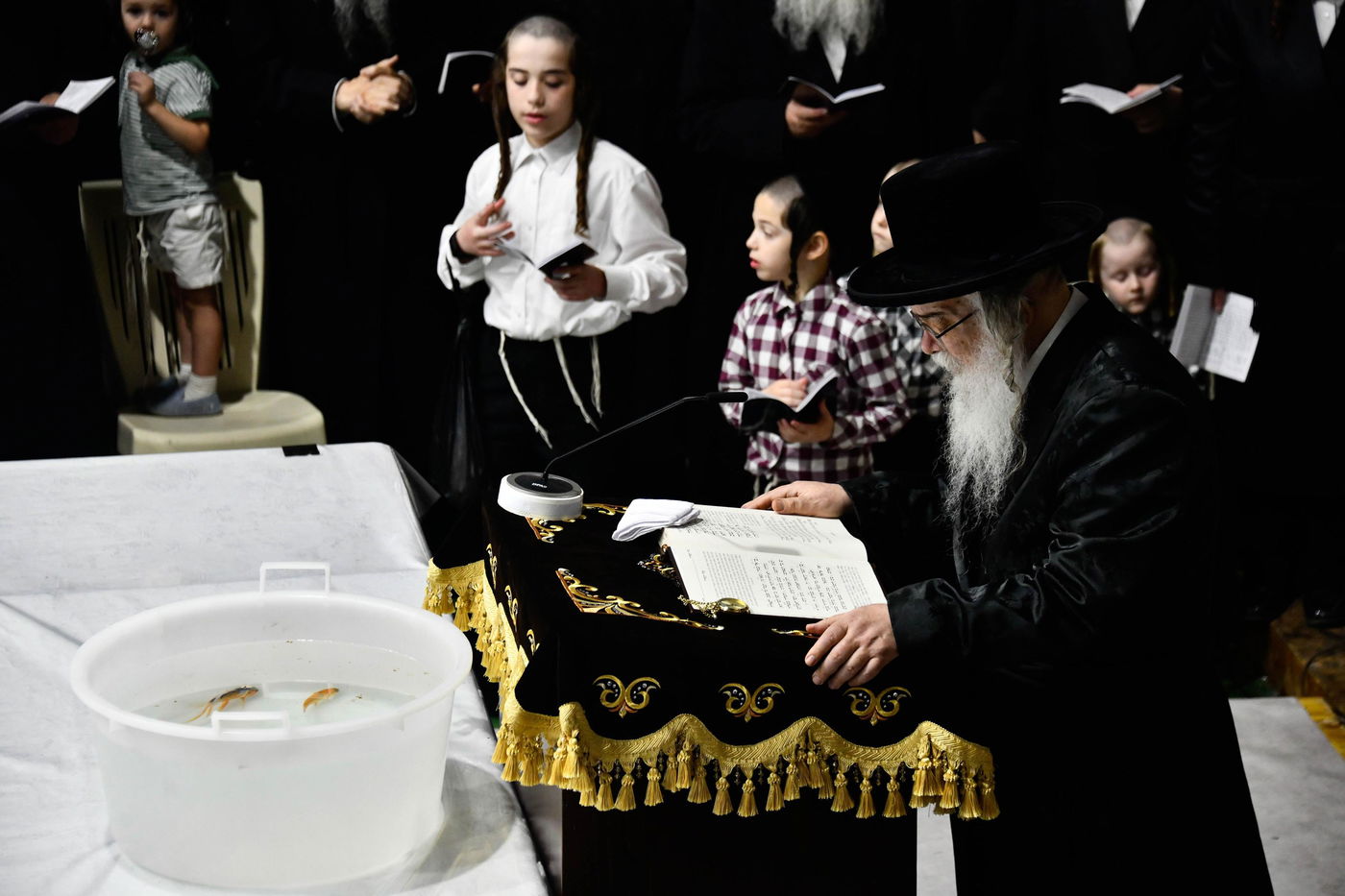 תשליך בחצה"ק דארג