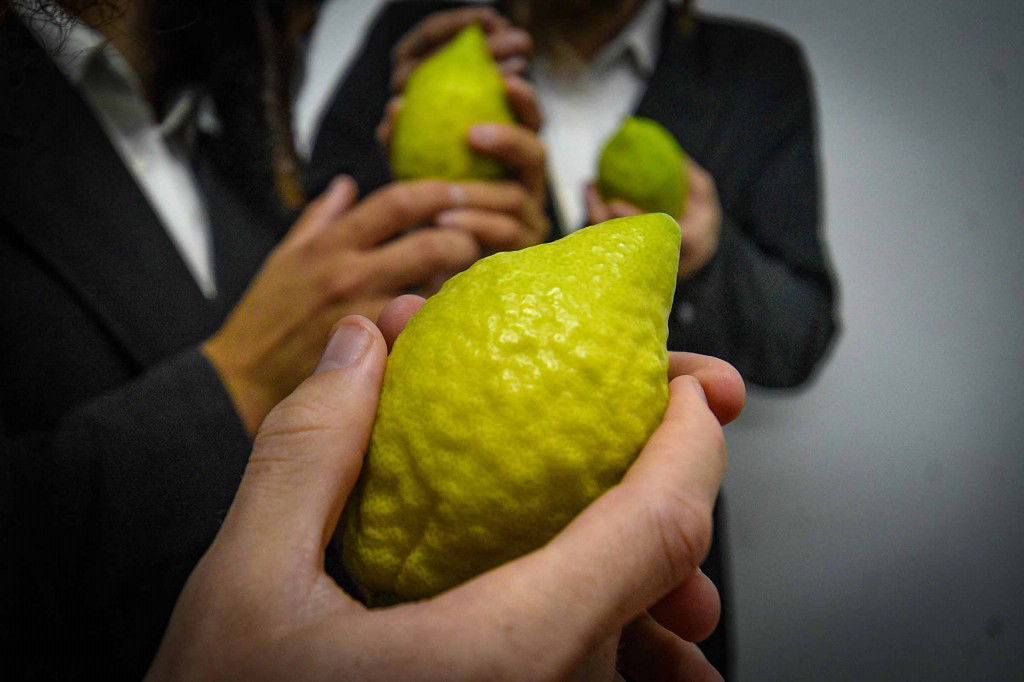 עשרת ימי תשובה בעמנואל