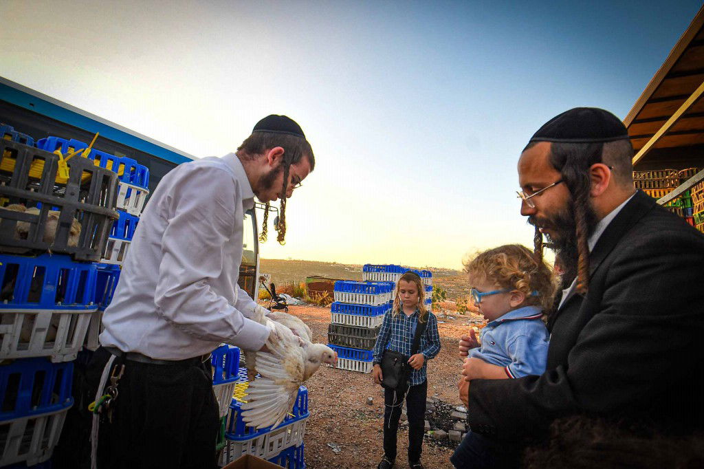 עשרת ימי תשובה בעמנואל