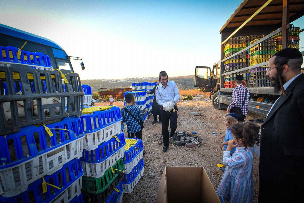 עשרת ימי תשובה בעמנואל