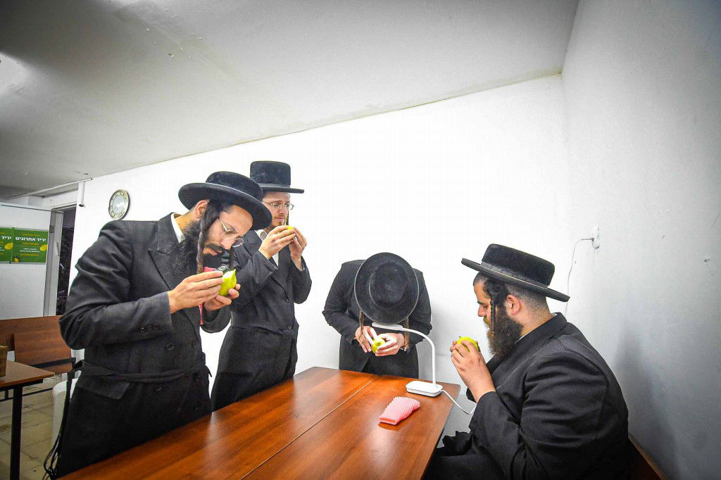 עשרת ימי תשובה בעמנואל