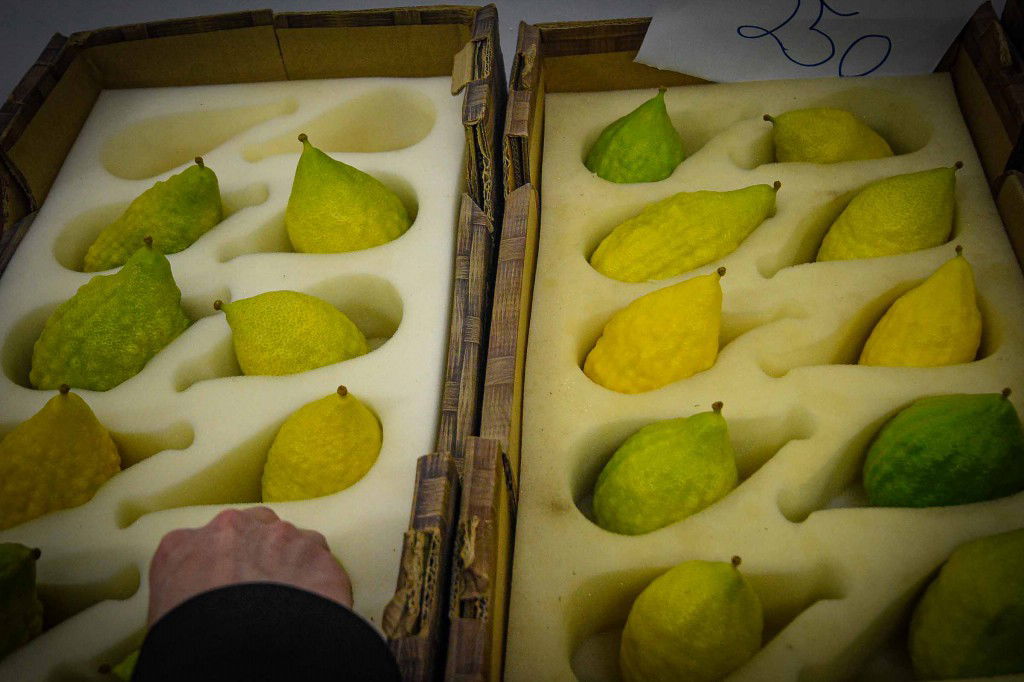 עשרת ימי תשובה בעמנואל