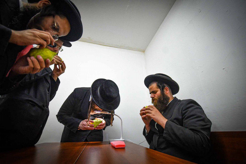 עשרת ימי תשובה בעמנואל