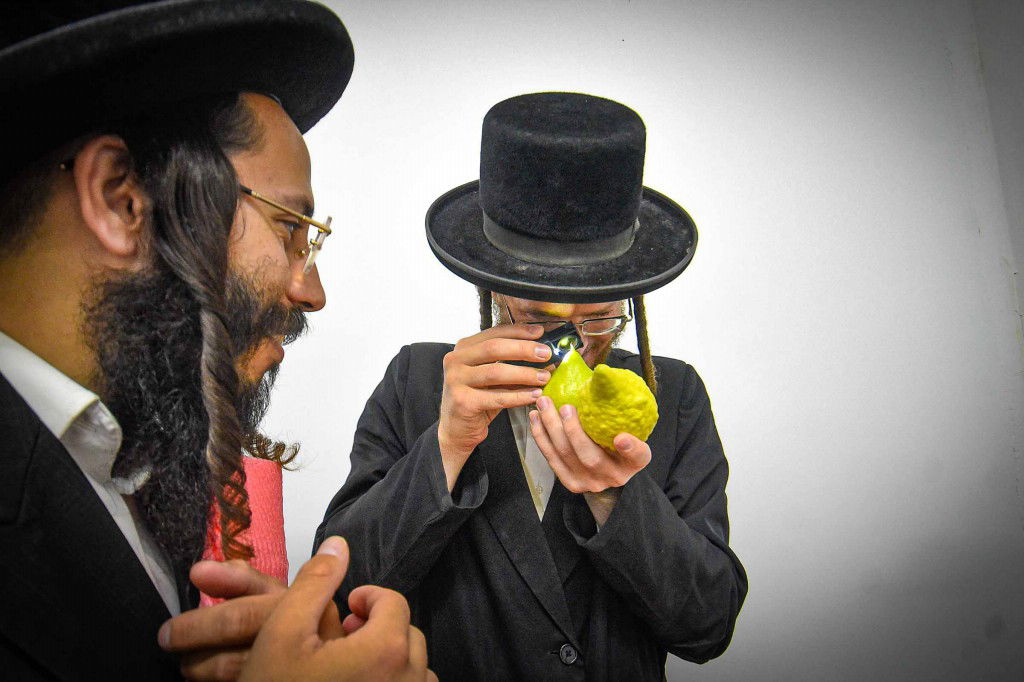 עשרת ימי תשובה בעמנואל