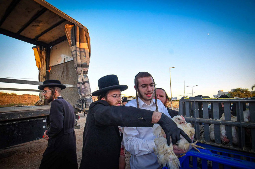 עשרת ימי תשובה בעמנואל