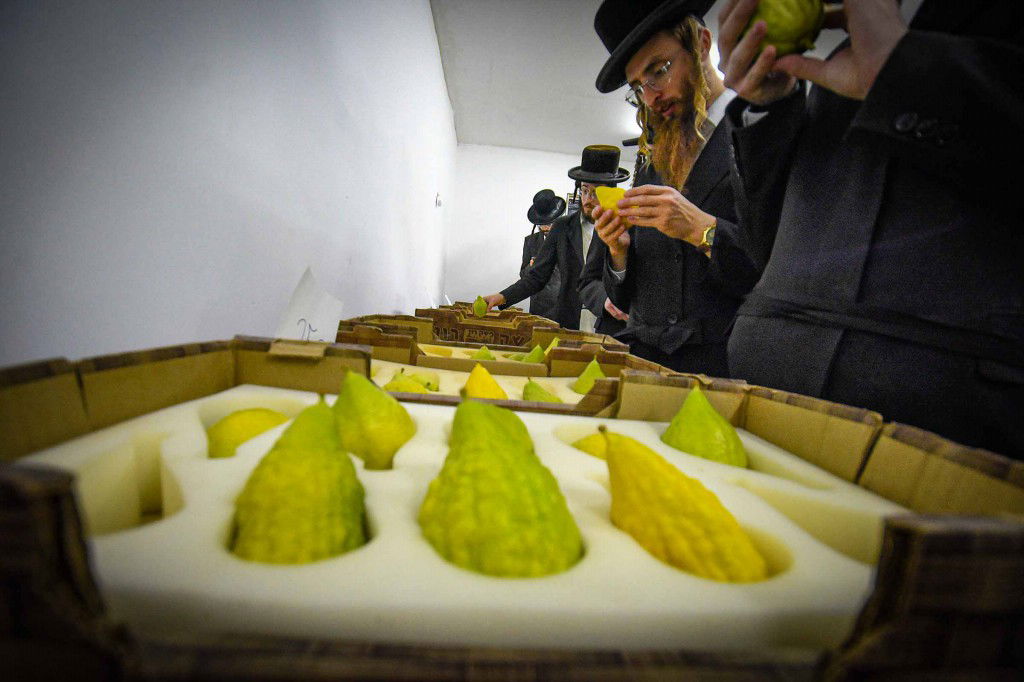 עשרת ימי תשובה בעמנואל