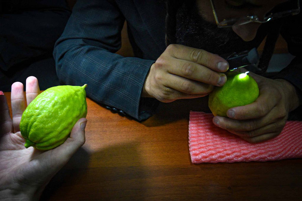 עשרת ימי תשובה בעמנואל