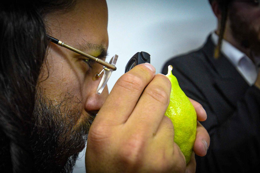 עשרת ימי תשובה בעמנואל