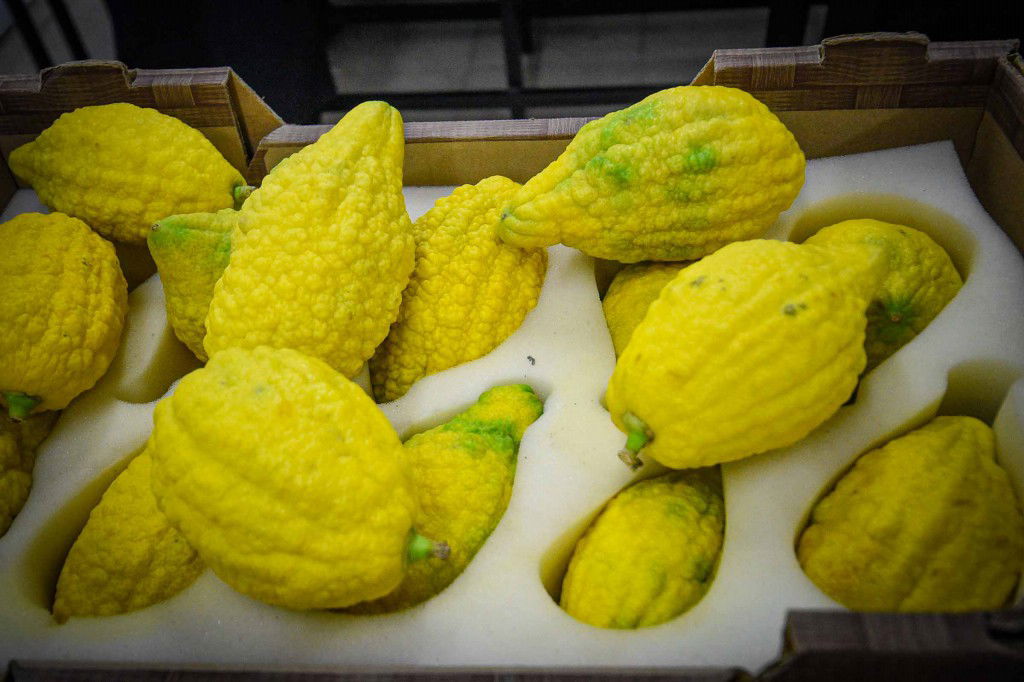 עשרת ימי תשובה בעמנואל