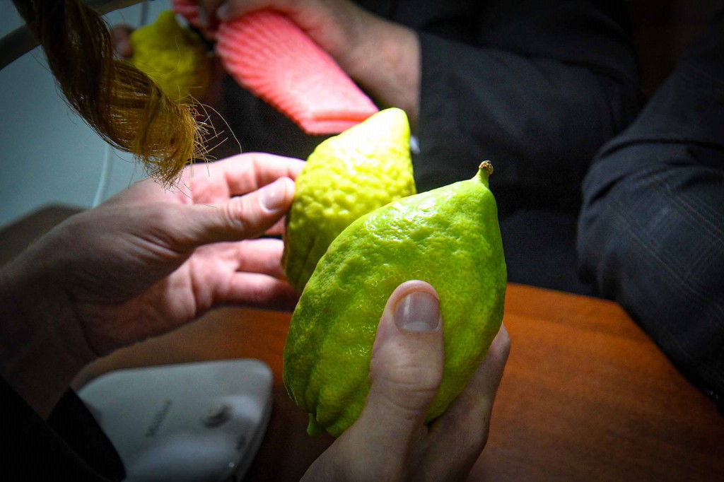 עשרת ימי תשובה בעמנואל