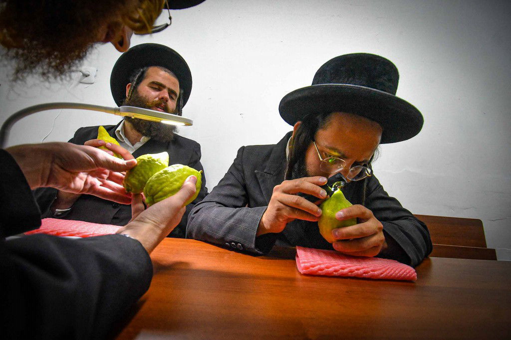 עשרת ימי תשובה בעמנואל