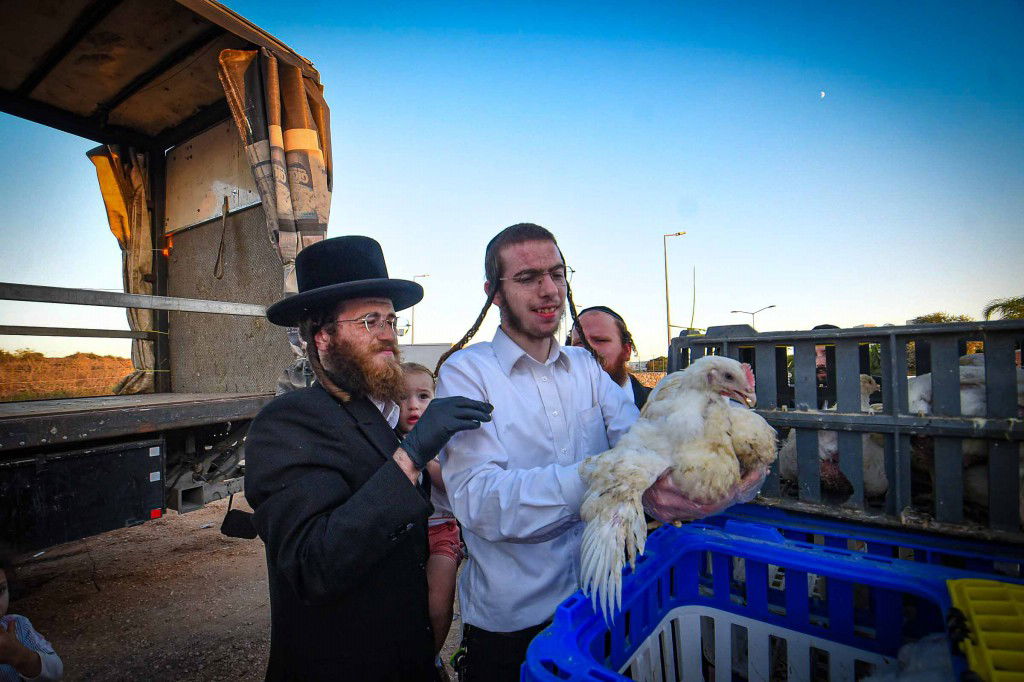 עשרת ימי תשובה בעמנואל