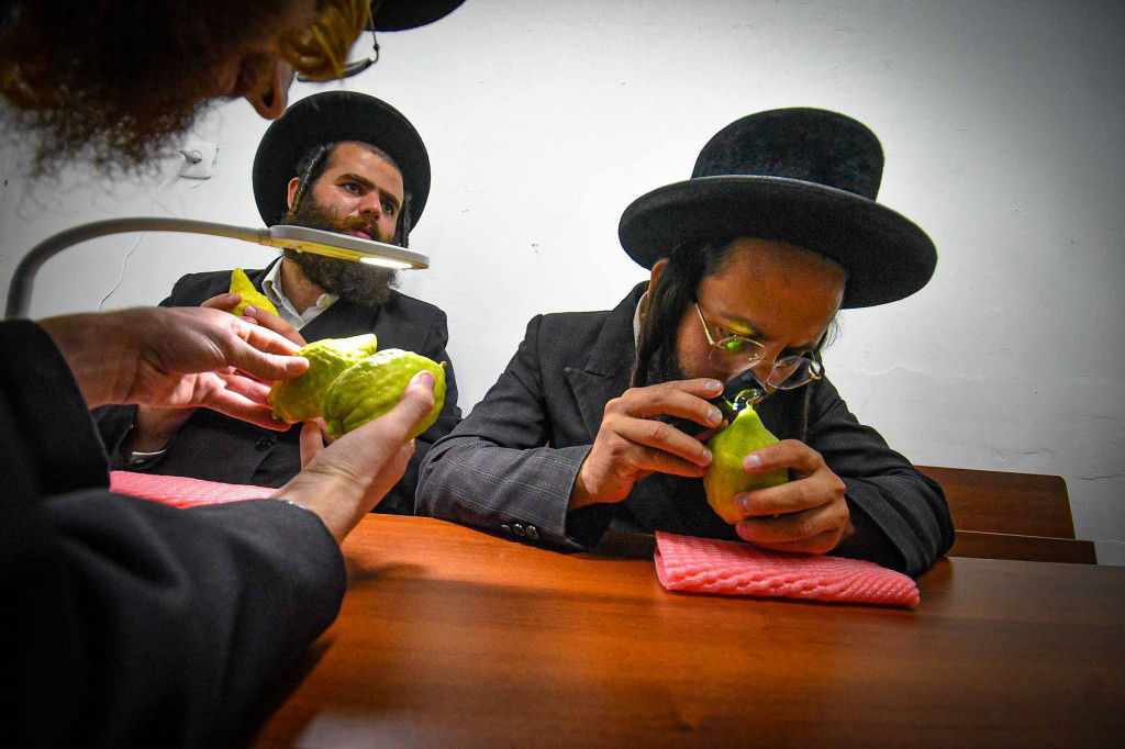 עשרת ימי תשובה בעמנואל