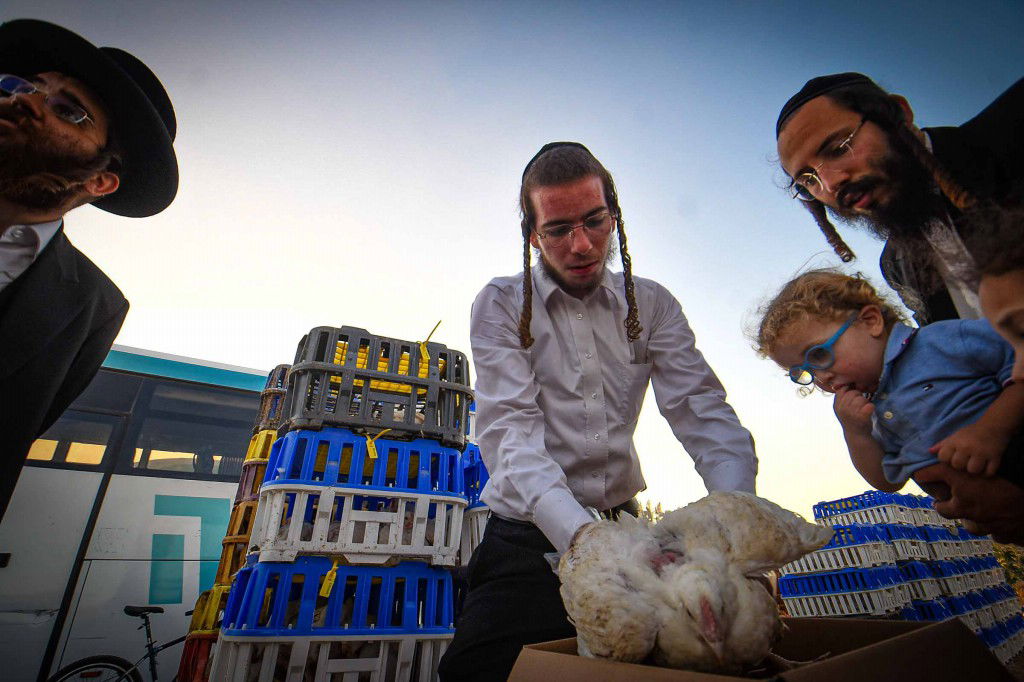 עשרת ימי תשובה בעמנואל