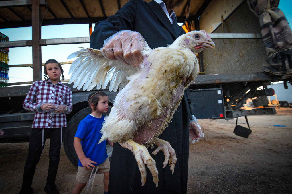עשרת ימי תשובה בעמנואל