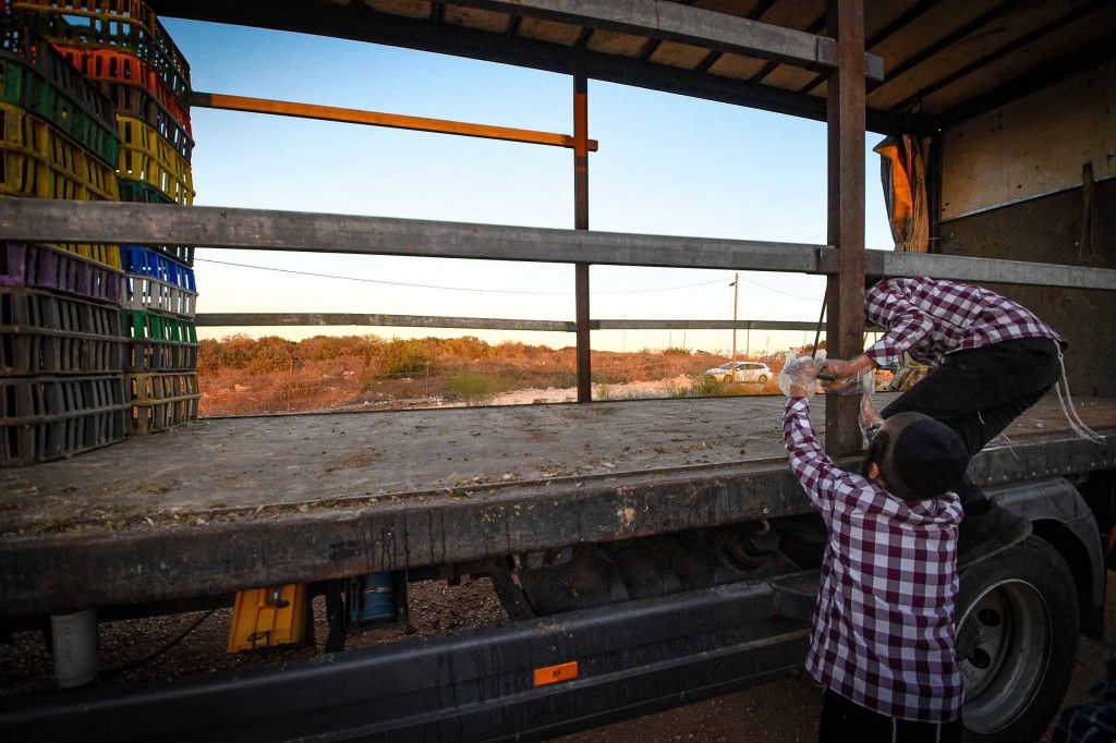עשרת ימי תשובה בעמנואל