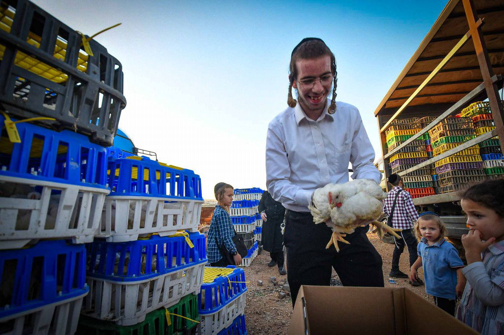 עשרת ימי תשובה בעמנואל