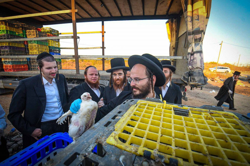 עשרת ימי תשובה בעמנואל