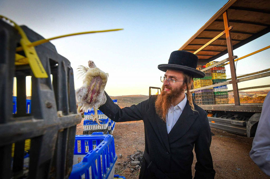 עשרת ימי תשובה בעמנואל