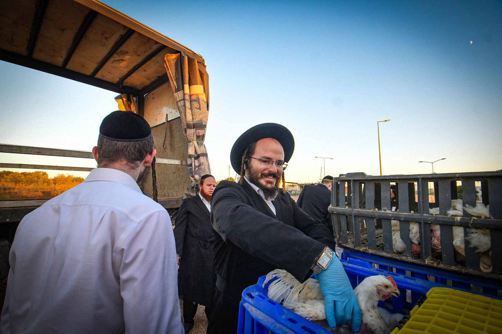 עשרת ימי תשובה בעמנואל