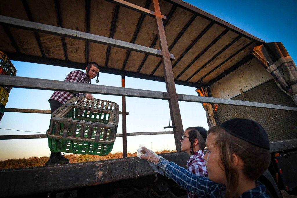 עשרת ימי תשובה בעמנואל