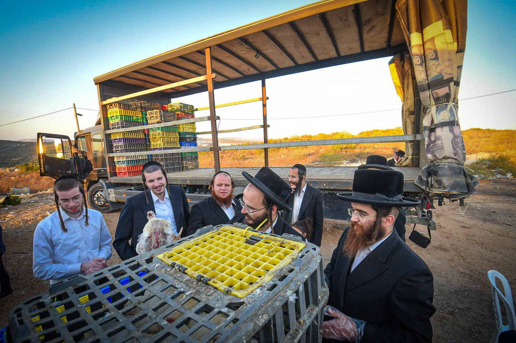 עשרת ימי תשובה בעמנואל