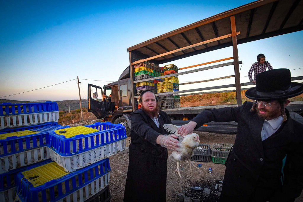 עשרת ימי תשובה בעמנואל